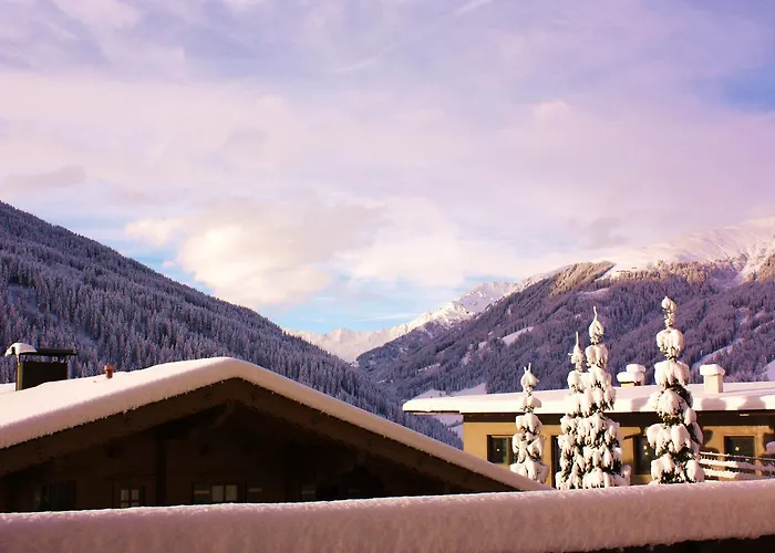 بيت ضيافة Marina